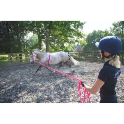 Shires Soft Feel 26ft Lunge Line - Pink -Equestrian Supplies 553744 800 800