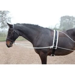 Shires Lunging Aid - Black -Equestrian Supplies 553779 800 800