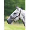 Blenheim Leather Travel Headcollar - Havana -Equestrian Supplies 554529 800 800