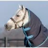 Amigo 1200D Hood 150g - Navy/Turquoise/Aqua/Blue 1 Amigo 1200D Hood 150g - Navy/Turquoise/Aqua/Blue -Equestrian Supplies 556191 800 800