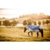 Rambo Autumn Series - Navy/Grey 2 Rambo Autumn Series - Navy/Grey -Equestrian Supplies 556630 800 800