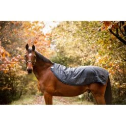 Rambo Autumn Series - Navy/Grey -Equestrian Supplies 556634 800 800