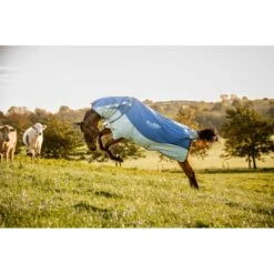 Rambo Autumn Series - Navy/Grey -Equestrian Supplies 556636 800 800