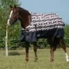Weatherbeeta Comfitec Essential Standard Neck Medium - Diamond Navajo Print/Black -Equestrian Supplies 579690 800 800