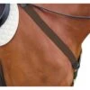 Kincade Elastic Y Fit Breastplate - Brown