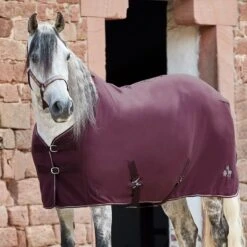 Horze Monster Pony Fleece Rug - Fig Purple -Equestrian Supplies 583335 800 800