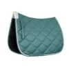 Horze Ghent Quick Dry Dressage Saddle Pad W/Faux Fur - Arctic Blue -Equestrian Supplies 586505 800 800