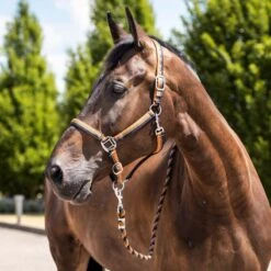 Horze Sandnes Halter & Lead Set - Dark Navy/Caramel Cafe -Equestrian Supplies 590858 800 800