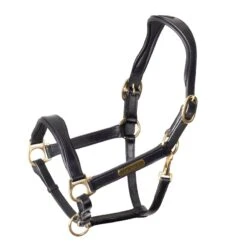 Shires Velociti Rapida Cushioned Leather Headcollar - Black