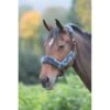 Shires Fleece Lined Headcollar W/Breakaway - Black -Equestrian Supplies 622684 800 800