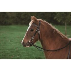 Western Rawhide Plain Pony Bridle With Reins - Dark Brown -Equestrian Supplies 645528 800 800
