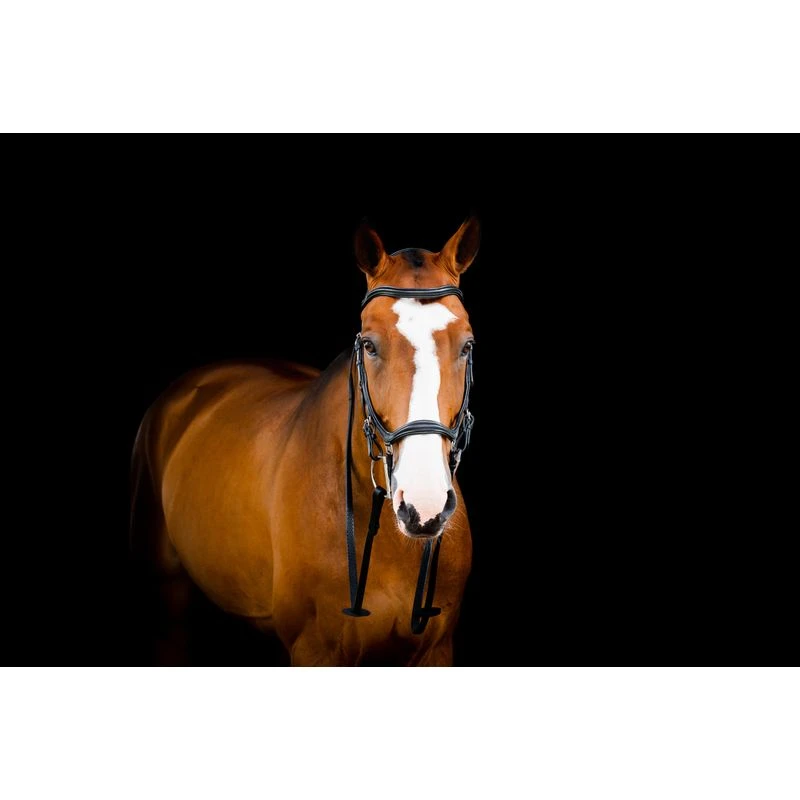 Rambo Micklem 2 Deluxe Competition Bridle W/Reins - Black 4 Rambo Micklem 2 Deluxe Competition Bridle W/Reins - Black - Image 2