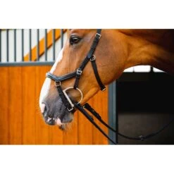 Rambo Micklem 2 Deluxe Competition Bridle W/Reins - Black 7 Rambo Micklem 2 Deluxe Competition Bridle W/Reins - Black -Equestrian Supplies 665936 800 800