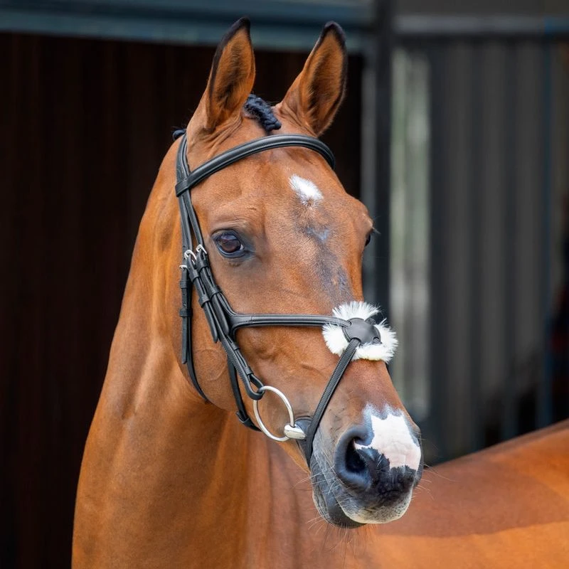 Shires Velociti Lusso Grackle Bridle - Black 3 Shires Velociti Lusso Grackle Bridle - Black