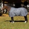 Equinavia Arktis Regular Neck Turnout Sheet - Carbon Gray 2 Equinavia Arktis Regular Neck Turnout Sheet - Carbon Gray -Equestrian Supplies 677726 800 800