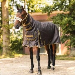 Horze Avalanche Heavyweight Combo Turnout Blanket - Chocolate Martini -Equestrian Supplies 699541 800 800