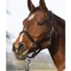 HKM Halter Eco -Equestrian Supplies HKMHAlterEcoModel