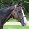 KL Select Red Barn Sonoma Fancy Hunter Bridle -Equestrian Supplies KLSelectRedBarnSonomaBridle