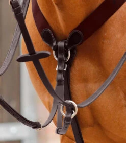 Premier Equine Baressa Elastic Jumping Breastplate -Equestrian Supplies PEBarissaBreastplatecloseup