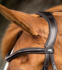Premier Equine Glorioso Grackle Bridle 9 Premier Equine Glorioso Grackle Bridle -Equestrian Supplies PEglorioso grackle bridle2