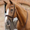 Premier Equine Pietro Laced Reins -Equestrian Supplies PEpietro laced reins