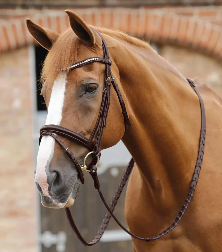 Premier Equine Pietro Laced Reins 3 Premier Equine Pietro Laced Reins