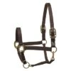 Perri's Safety Halter -Equestrian Supplies Perri sSafetyHalterblack