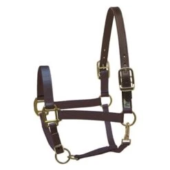 Perri's Safety Halter -Equestrian Supplies Perri sSafetyHalternavy