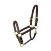 Perri's 1" Havana Turnout Halter 1 Perri's 1" Havana Turnout Halter -Equestrian Supplies Perri sTurnoutHalter