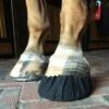 Equifit Pack-N-Stick Hooftape™ -Equestrian Supplies equifit2 b2c5d131 1fd0 4901 a715 beeb0d1a0ec1