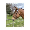 Jump'In Hackamore Bridle -Equestrian Supplies jumpin9