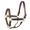 Perri's 1" Leather Padded Halter -Equestrian Supplies perrispadded