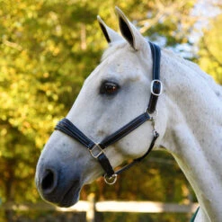 Red Barn Fancy Stitching Padded Leather Halter