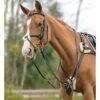 Shires 5-Point Padded Breastplate -Equestrian Supplies shires