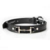Tory Leather 1" Bit Belt -Equestrian Supplies torybitbelt