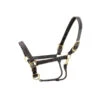 Walsh Kentucky Triple Stitched Leather Halter -Equestrian Supplies walshkentucky